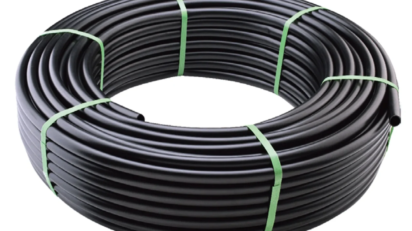 5eebb334-3927-4413-81e1-4e9e8787d503-1